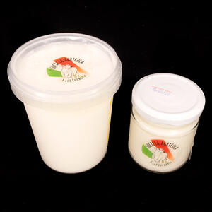 Yogurt bianco compatto gr.200